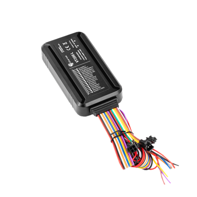 Localizador vehicular 4G