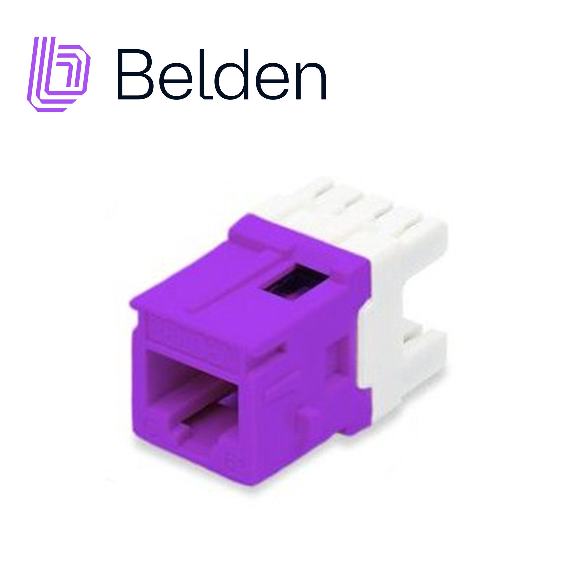 Imagen de CONECTOR MODULAR JACK CAT6+ RJ45 BELDEN AX104194 / KEYCONNECT / INTERIOR / PURPURA / PIEZA